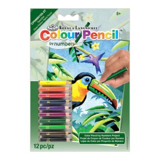 Colour Pencil By Numbers Birds, Art Activities
