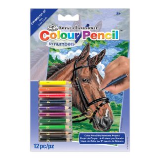 Colour Pencil By Numbers Horse Scene, Art Activities